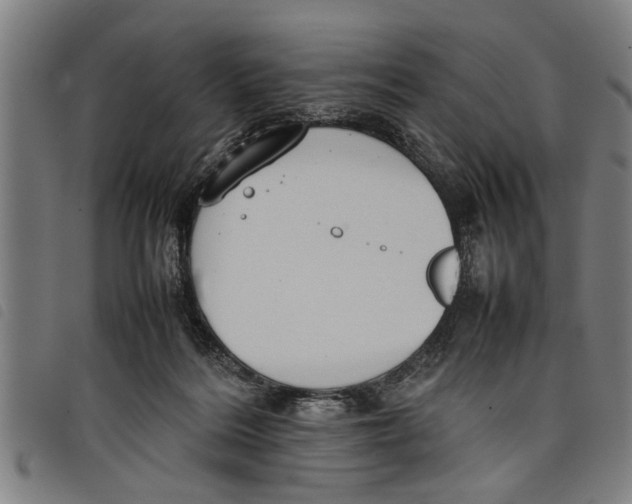 X0000097800220200804041321