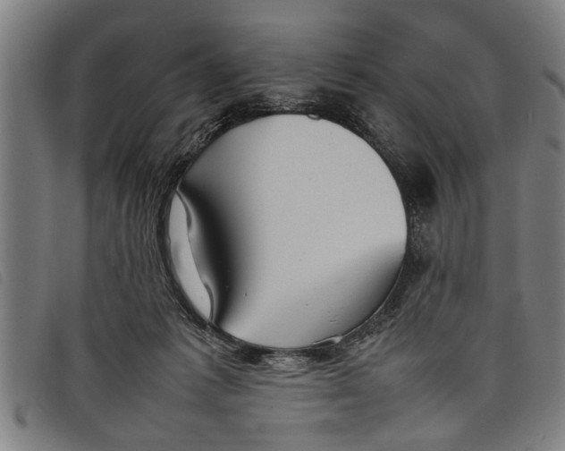 X0000097800221200804041321