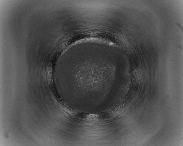 X0000097800222200804041321