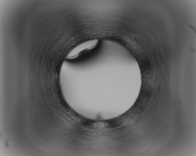 X0000097800225200804041321