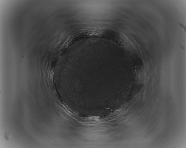 X0000097800227200804041321