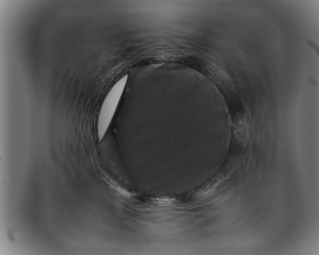 X0000097800233200804041321