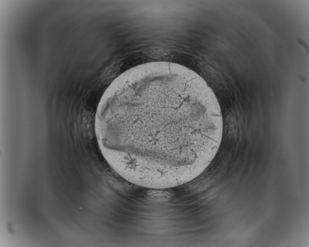 X0000097800234200804041321