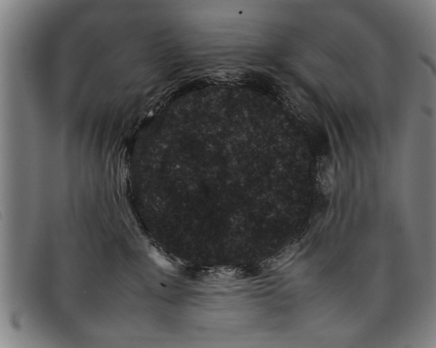 X0000097800235200804041321