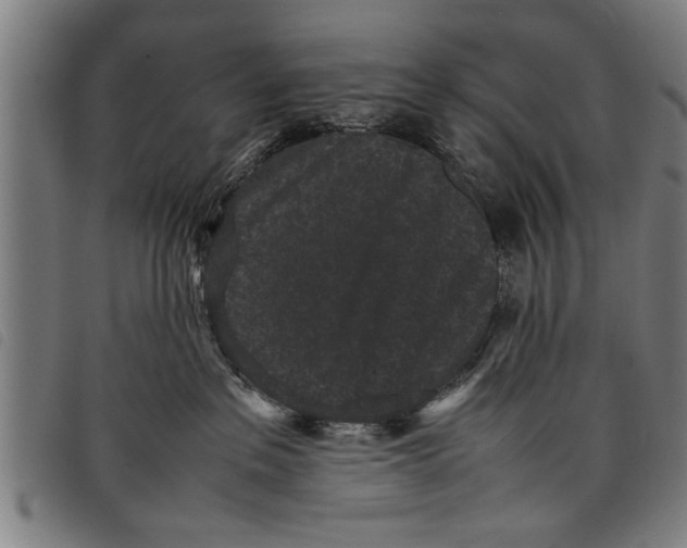 X0000097800237200804041321