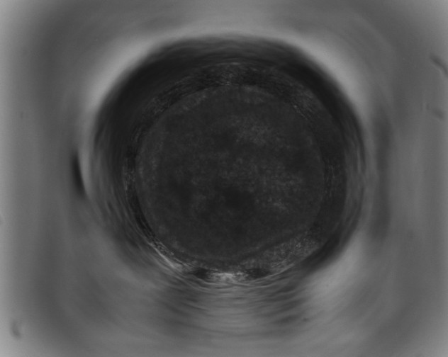 X0000097800239200804041321