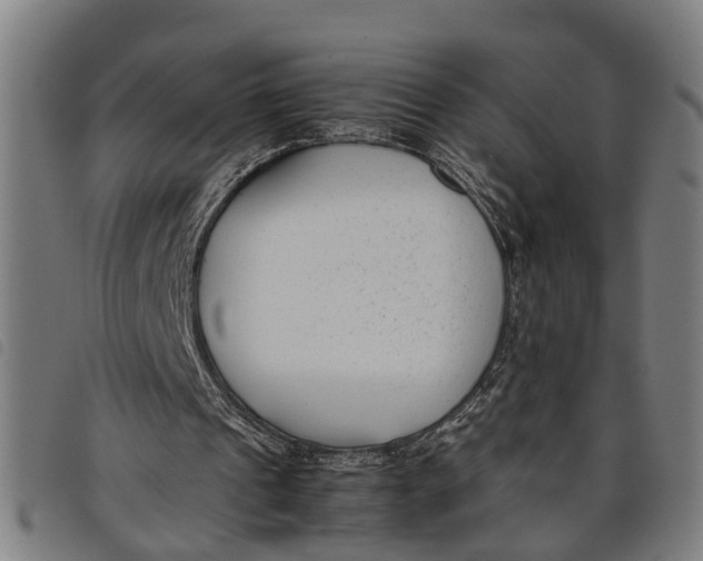 X0000097800241200804041320