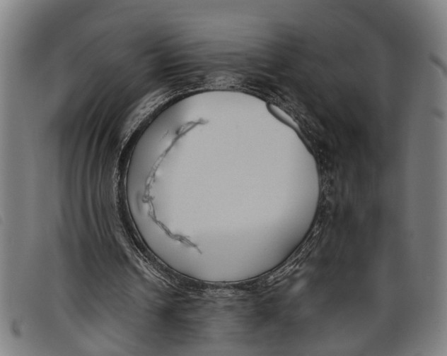 X0000097800242200804041320