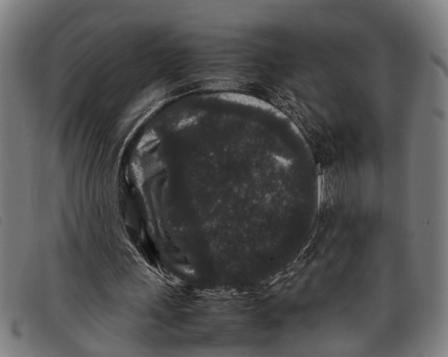 X0000097800243200804041320