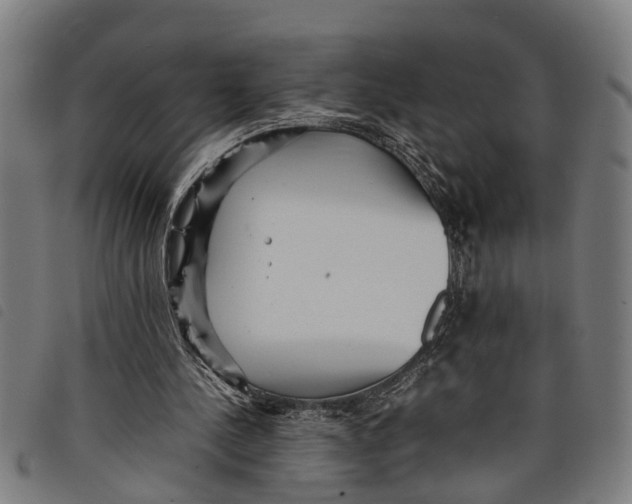 X0000097800244200804041320