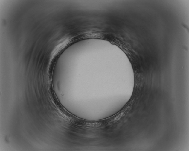 X0000097800245200804041320