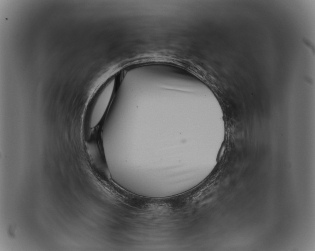 X0000097800248200804041320