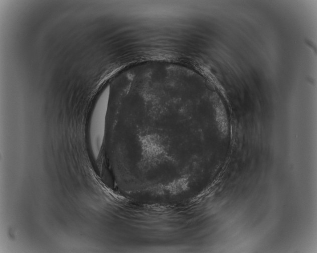 X0000097800249200804041320