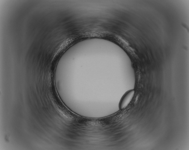 X0000097800250200804041320