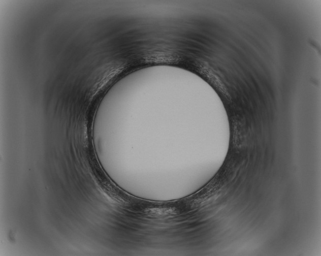 X0000097800251200804041320