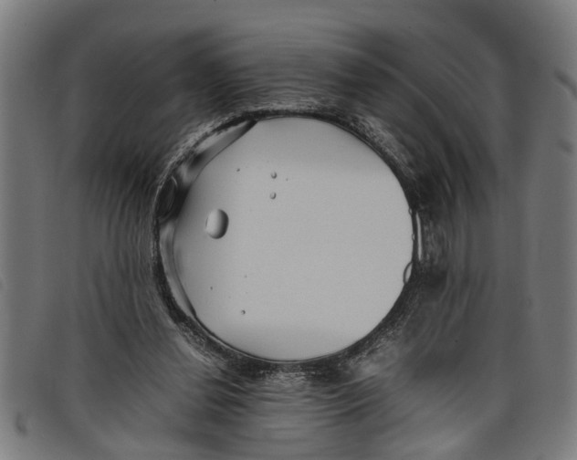 X0000097800252200804041320