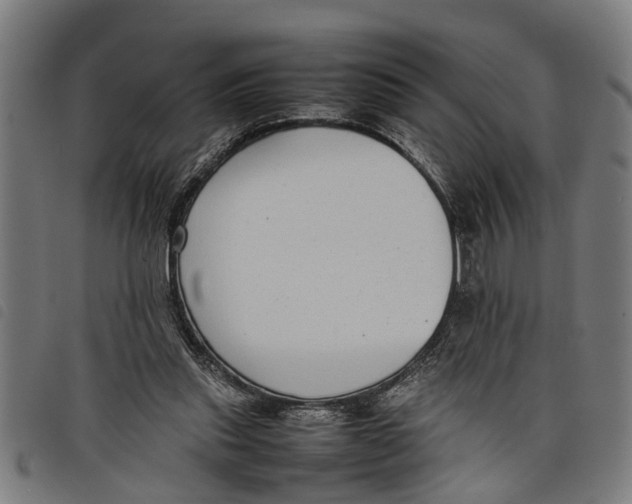 X0000097800253200804041320