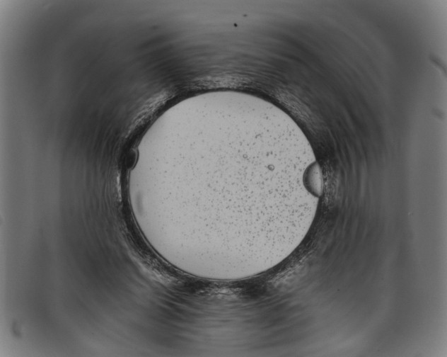 X0000097800254200804041320