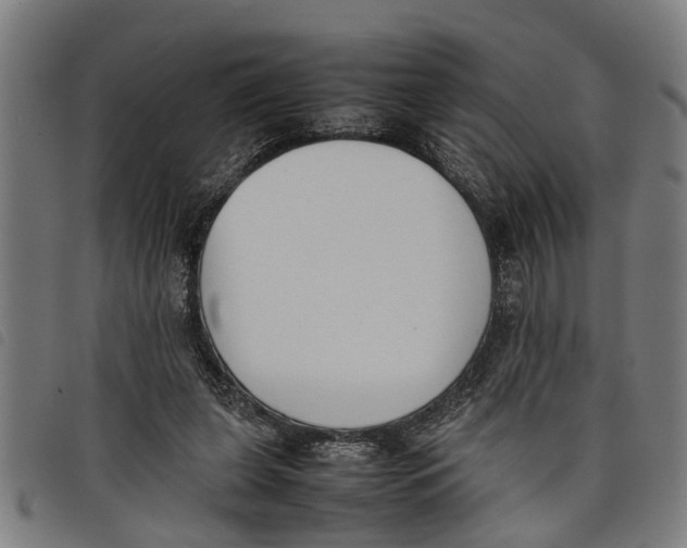 X0000097800255200804041320