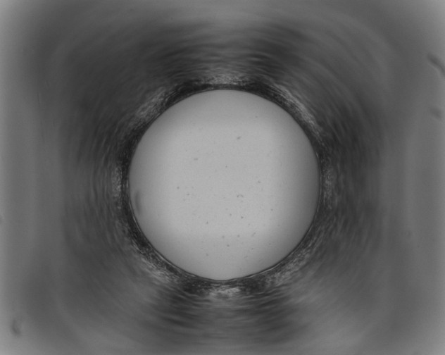 X0000097800257200804041320