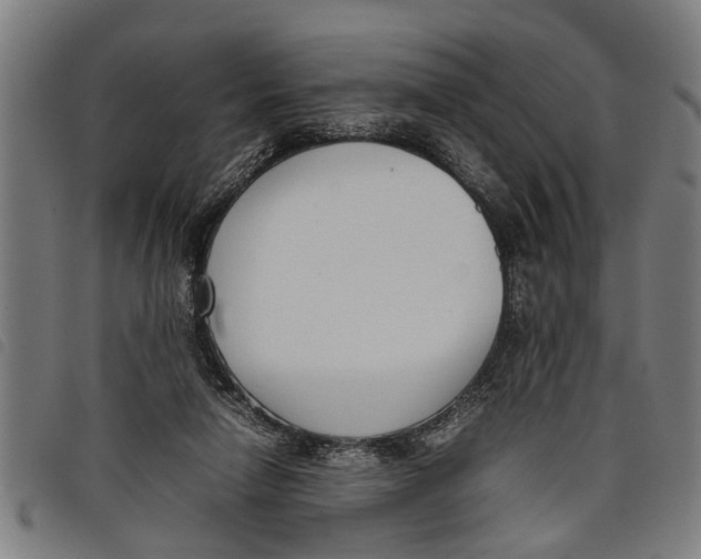 X0000097800258200804041320