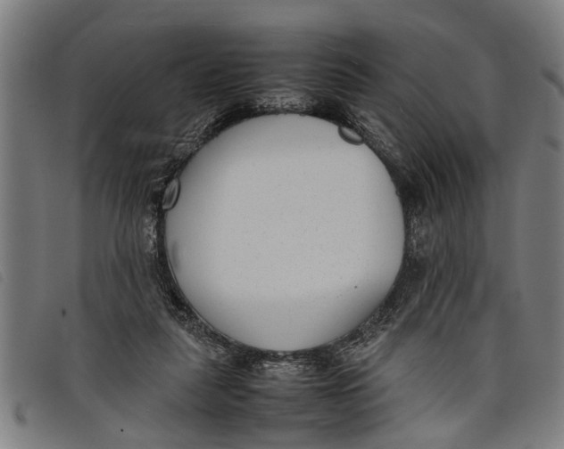 X0000097800259200804041320