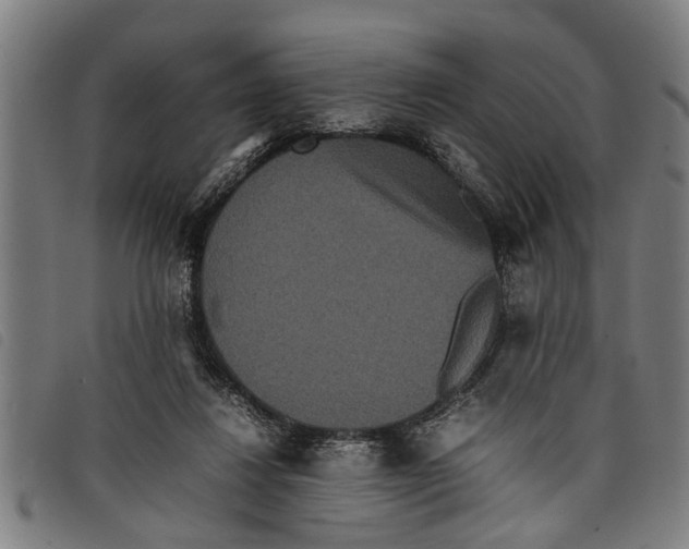 X0000097800260200804041320