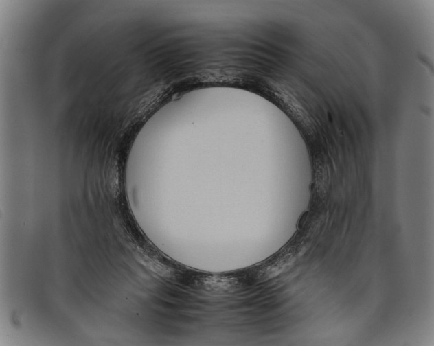 X0000097800261200804041320