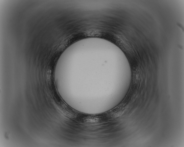 X0000097800263200804041321