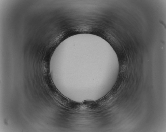 X0000097800264200804041321