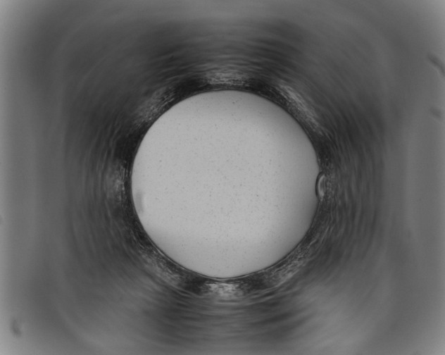 X0000097800265200804041321