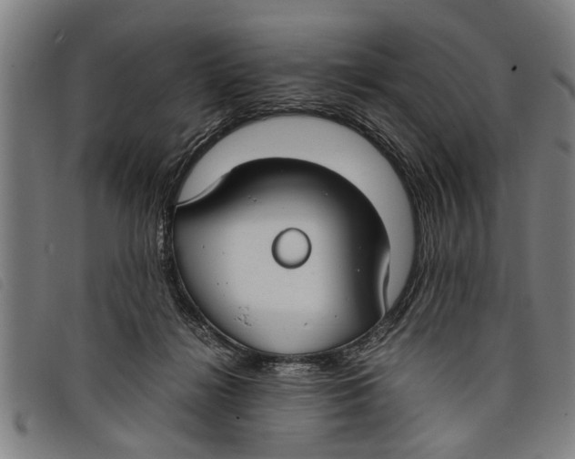 X0000097800268200804041321