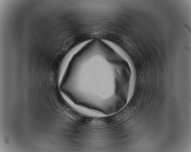 X0000097800270200804041321