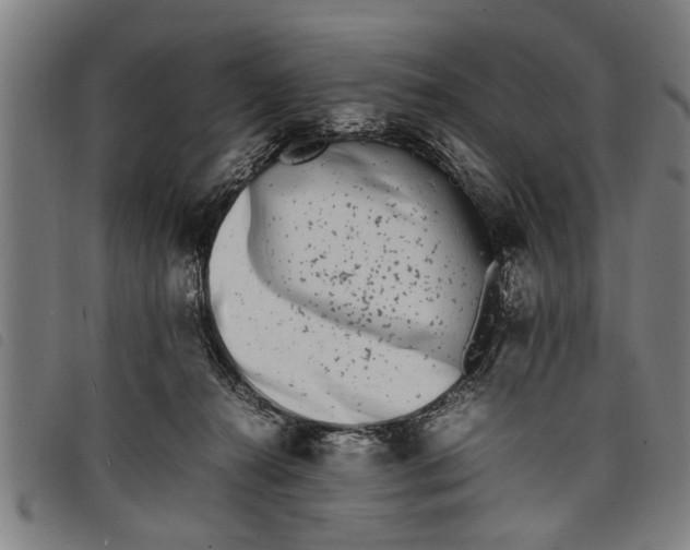 X0000097800272200804041321