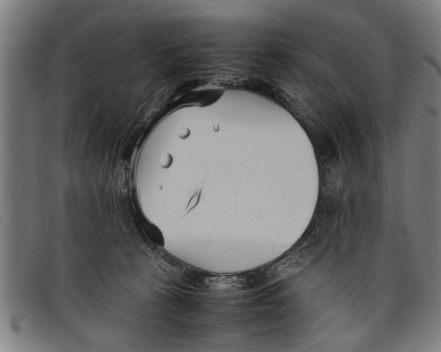 X0000097800273200804041321