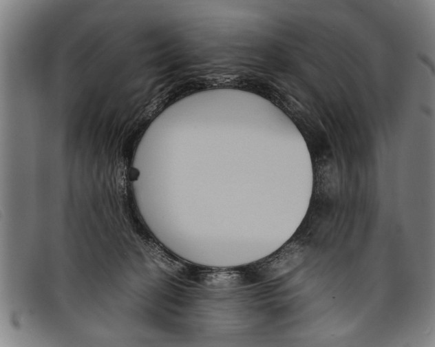 X0000097800274200804041321