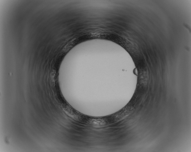 X0000097800275200804041321