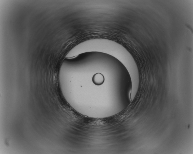 X0000097800276200804041321