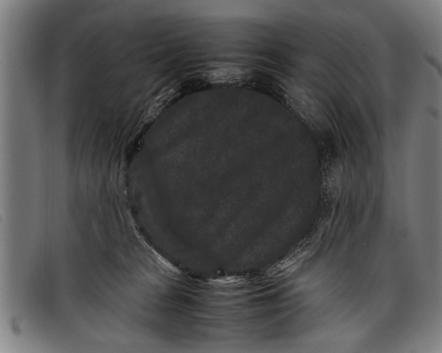 X0000097800277200804041321