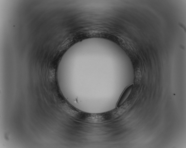 X0000097800278200804041321