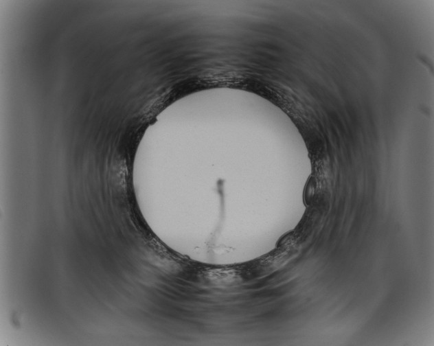 X0000097800279200804041321