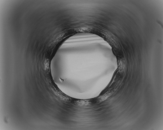 X0000097800284200804041321