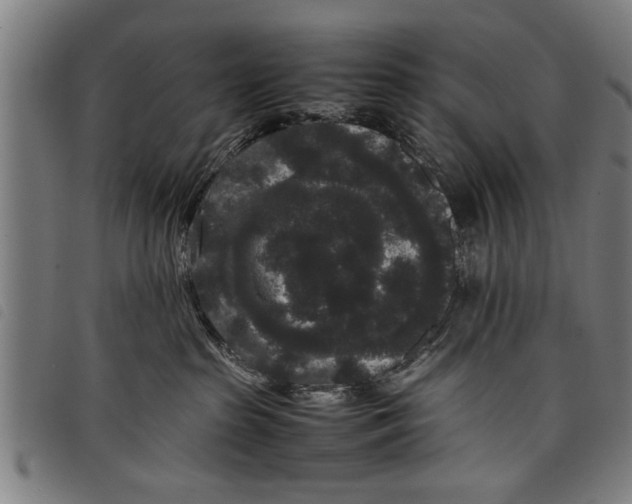 X0000097800285200804041321