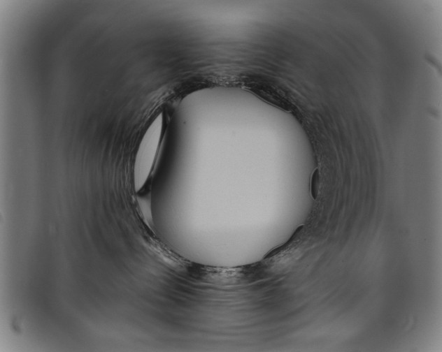 X0000097800288200804041321