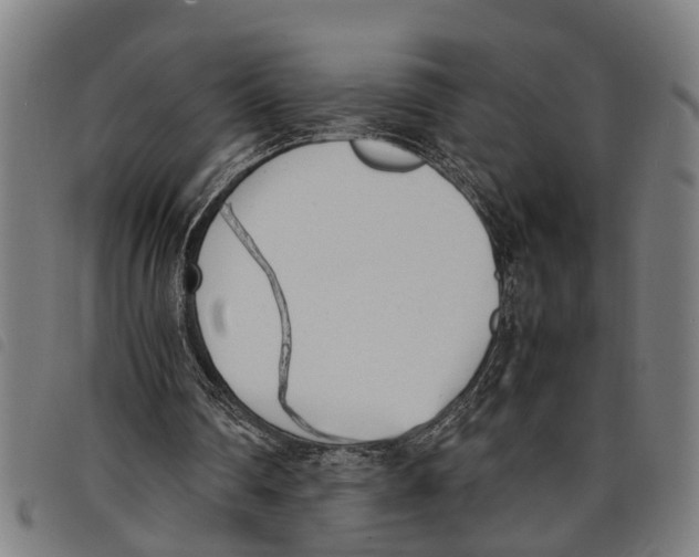 X0000097800290200804041320