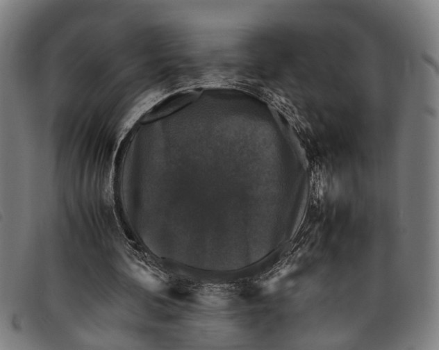 X0000097800292200804041320