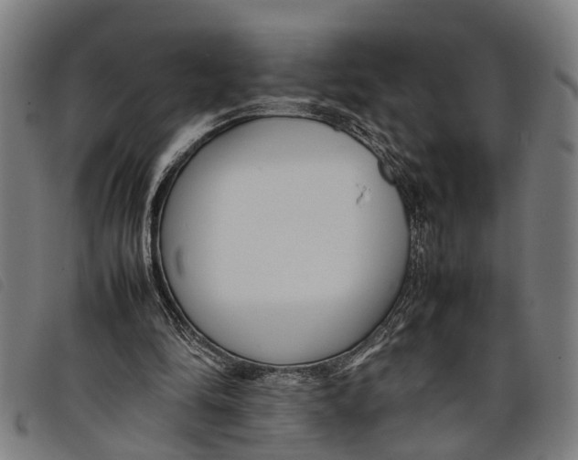 X0000097800294200804041320