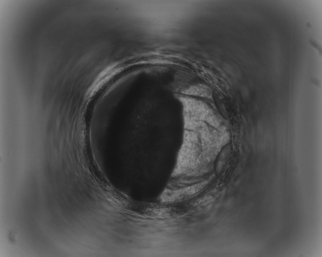 X0000097800295200804041320