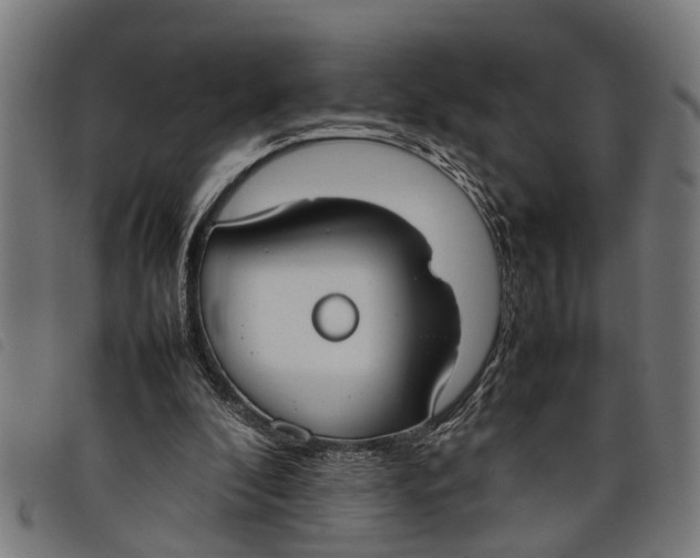 X0000097800296200804041320