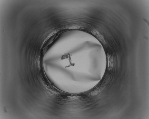 X0000097800300200804041320